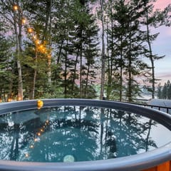 The Estate- Sasquatch Lodge and Eagles Nest, 2 Homes, 2 Pools, Entire Villa