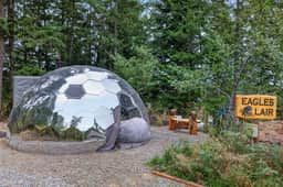 Eagles Nest Cozy Dome, Hot Tub & Woodland Retreat - Image 2