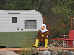 Eagles Nest Cozy Dome, Hot Tub & Woodland Retreat - Image 5