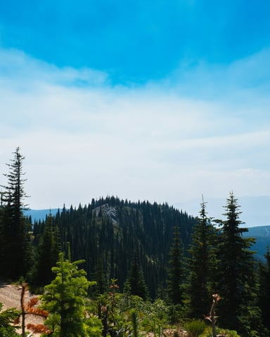 North Idaho mountain ridgeline with pine forest