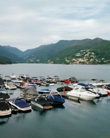 Boats docked at a marina with forested mountains rising behind the water