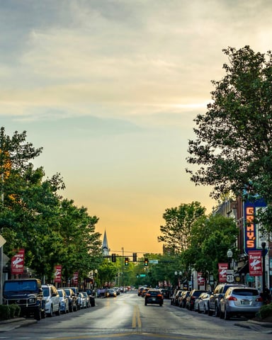 Tree-lined main street at golden hour with shops and parked cars