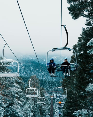 Ski chairlift rising through snow-covered pine trees on a mountain