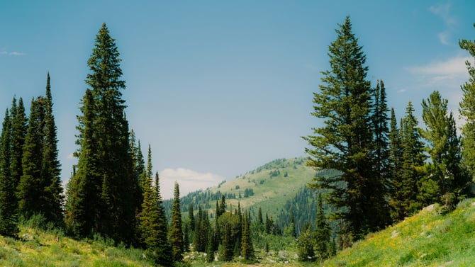 Rathdrum Idaho Vacation Rentals